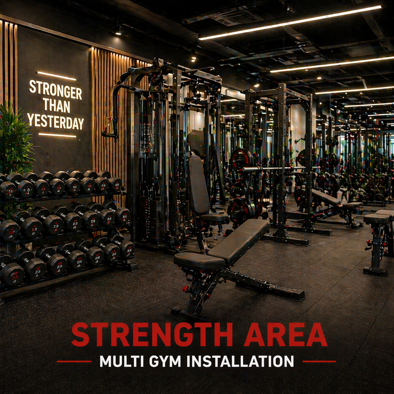 Strength Area